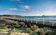 Victor Harbor And Southern Highlights From Adelaide Including Lunch - thumb 0