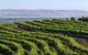 Victor Harbor And Southern Highlights From Adelaide Including Lunch - thumb 3
