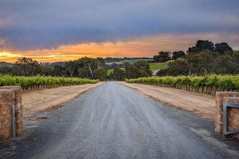 The Ultimate Shottesbrooke Wine & Food Experience - Attractions 0