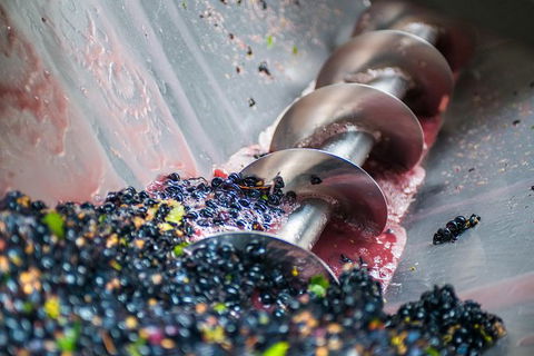 The Ultimate Shottesbrooke Wine & Food Experience - Attractions 9