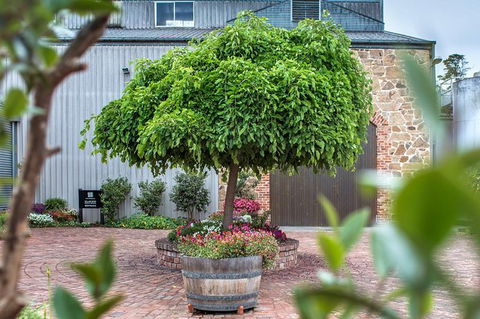 The Ultimate Shottesbrooke Wine & Food Experience - Attractions 4