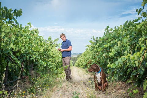 The Ultimate Shottesbrooke Wine & Food Experience - Attractions 7