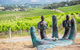 Learn About Biodynamics And Wine Production In McLaren Vale - thumb 0