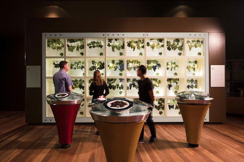 Australian Wine Discovery Tour With Tastings - Attractions 5