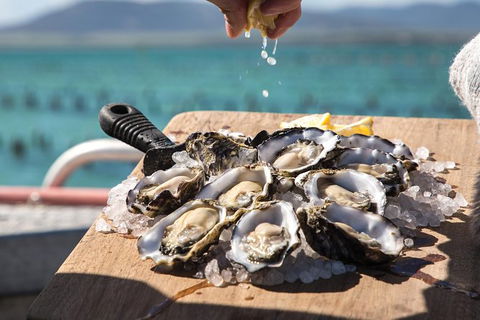 Experience Coffin Bay Short And Sweet Oyster Farm Tour - Attractions 0