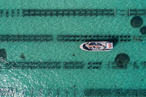 Experience Coffin Bay Short And Sweet Oyster Farm Tour - Attractions 1
