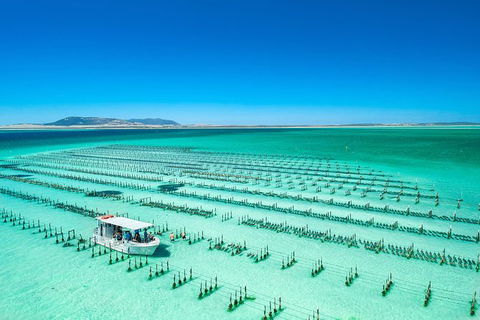 Experience Coffin Bay Short And Sweet Oyster Farm Tour - Attractions 5