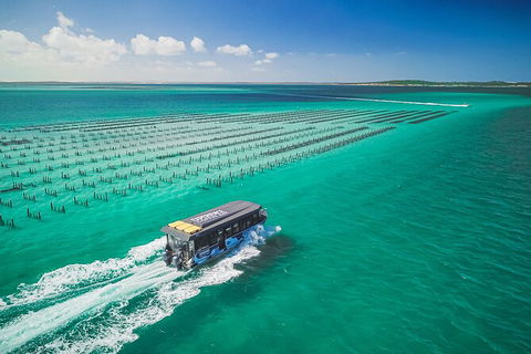 Experience Coffin Bay Short And Sweet Oyster Farm Tour - Attractions 2