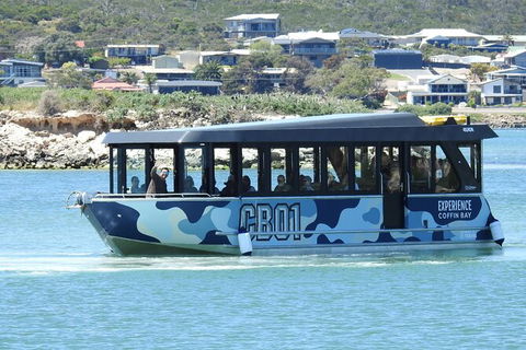 Experience Coffin Bay Short And Sweet Oyster Farm Tour - Attractions 9
