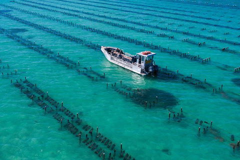 Experience Coffin Bay Short And Sweet Oyster Farm Tour - Attractions 7