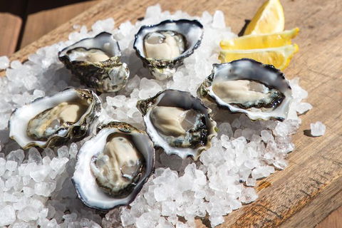 Experience Coffin Bay Short And Sweet Oyster Farm Tour - Attractions 3