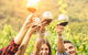 McLaren Vale Luxury Wine Tour - thumb 5