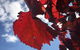 McLaren Vale\'s Greatest Tour With The Best Itinerary! - thumb 11