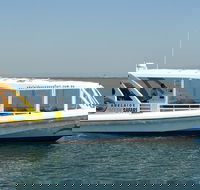 Adelaide Ocean Safari - Wild Dolphin Safari - Attractions