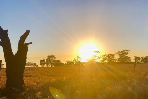 Bike Tour Strathalbyn & Langhorne Creek - Attractions 3