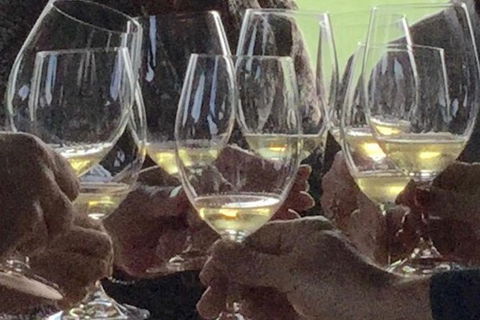 Luxury Private Mclaren Vale Wine Tour - Attractions 1