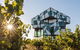 Luxury Private Mclaren Vale Wine Tour - thumb 8