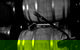 McLaren Vale Tour, Visit Up To 5 Wineries With A Great Itinerary. - thumb 14