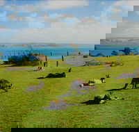 Fleurieu Explorer - Full-Day Tour - Attractions