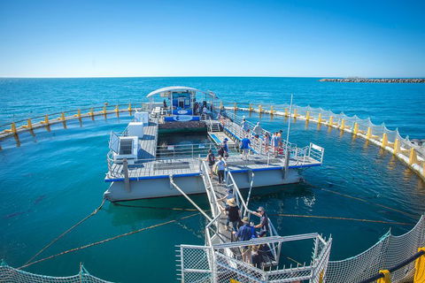 Island Discovery Package - Aquarium Swim & Seafood Tasting Platter - Attractions 1