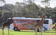 Monarto Safari Park Bus Transfers From Adelaide City - thumb 0