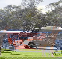 Monarto Safari Park Bus transfers from Adelaide City - Attractions