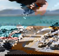 Experience Coffin Bay Oyster Farm and Bay Tour - Attractions