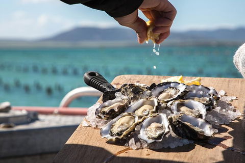 Experience Coffin Bay Oyster Farm And Bay Tour - Attractions 0