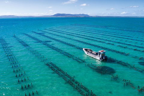 Experience Coffin Bay Oyster Farm And Bay Tour - Attractions 1