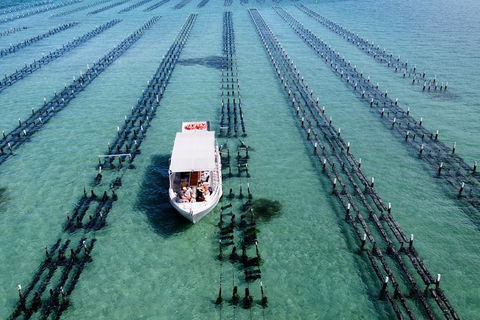 Experience Coffin Bay Oyster Farm And Bay Tour - Attractions 8