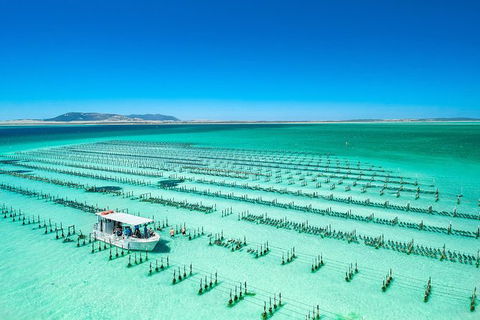 Experience Coffin Bay Oyster Farm And Bay Tour - Attractions 7