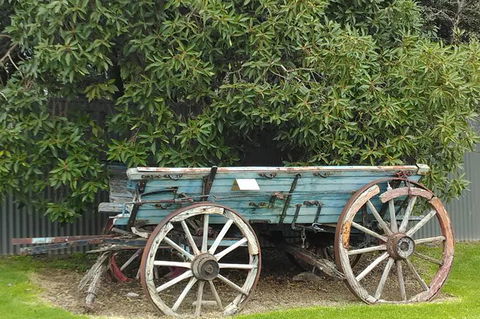 Barossa Valley Wine Tour (4Hour) - Attractions 1