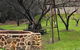 Barossa Valley Wine Tour (4Hour) - thumb 4