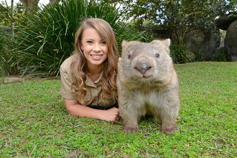 Croc Express To Australia Zoo From Brisbane - Attractions 0