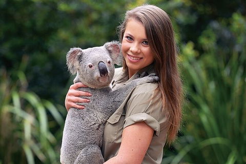 Croc Express To Australia Zoo From Brisbane - Attractions 7