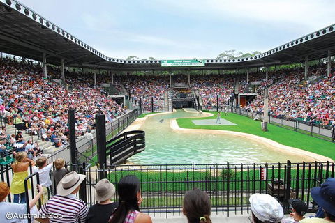 Croc Express To Australia Zoo From Brisbane - Attractions 12