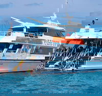 Poseidon Outer Great Barrier Reef Snorkeling and Diving Cruise from Port Douglas - Attractions