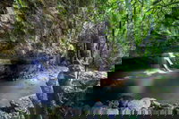Springbrook andTamborine Rainforest Tour Incl Natural Bridge and Glow Worm Cave