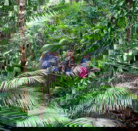Full Day Daintree Rainforest and Mossman Gorge Tour - Attractions