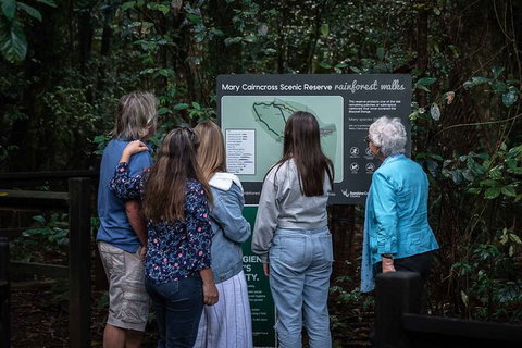 Sunshine Coast Hinterland And Noosa Day Trip From Brisbane Including Eumundi Markets And Ginger Factory - Attractions Las Vegas 4