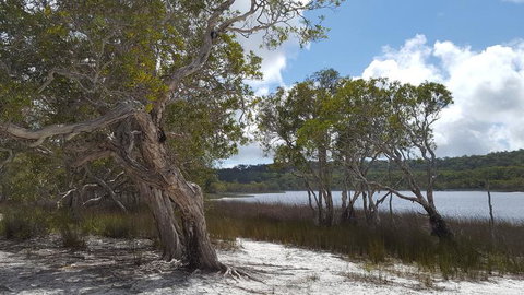 North Stradbroke Island Day Trip From Brisbane - Attractions 14