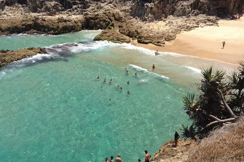 North Stradbroke Island Day Trip From Brisbane - Attractions 1
