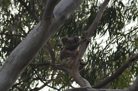 North Stradbroke Island Day Trip From Brisbane - Attractions 11