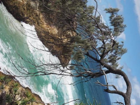 North Stradbroke Island Day Trip From Brisbane - Attractions 16