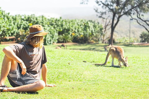 North Stradbroke Island Day Trip From Brisbane - Attractions 35