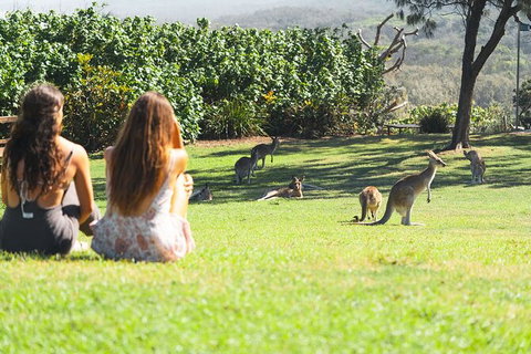 North Stradbroke Island Day Trip From Brisbane - Attractions 28