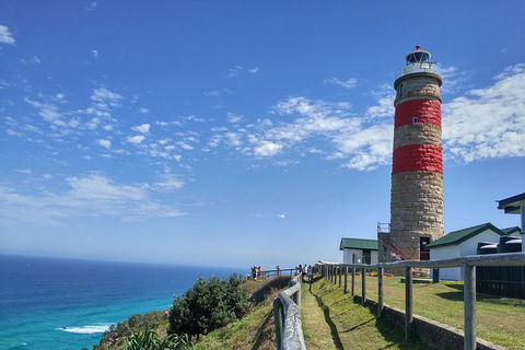 Cape Moreton Scenic 4WD Day Tour From Brisbane Or The Gold Coast - Attractions 1