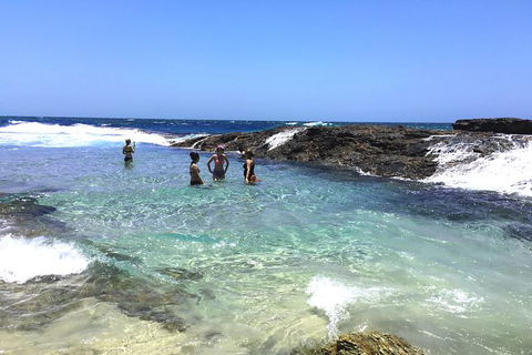 Cape Moreton Scenic 4WD Day Tour From Brisbane Or The Gold Coast - Attractions 3