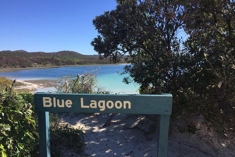 Cape Moreton Scenic 4WD Day Tour From Brisbane Or The Gold Coast - Attractions 4