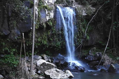 You Choose The Tour: Brisbane Private Chauffeur Driven Personal Tour - Attractions 0